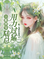 我成了傻女后，陛下杀疯了