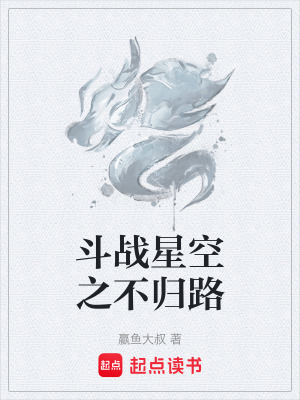 《斗战星空之不归路》封面