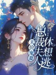 天价宠妻：总裁夫人休想逃火爆小说