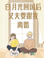 白月光回国后，丈夫要跟我离婚畅销书籍