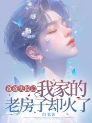 无广告全文爸爸失踪后，我家的老房子却火了