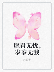 已完结小说愿君无忧，岁岁无我