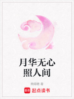 月华无心照人间