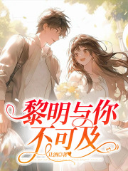 黎明与你不可及免费阅读