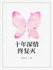 在线小说十年深情终复灭
