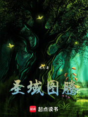 《圣域图腾1混乱初始》封面
