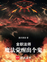 全职法师：魔法觉醒出个鬼