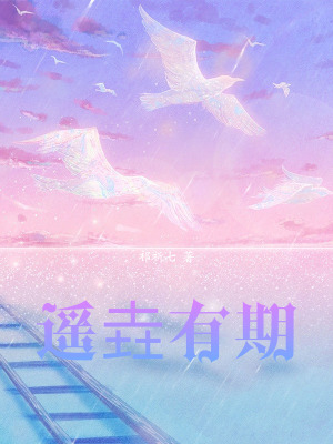 《遥垚有期》封面