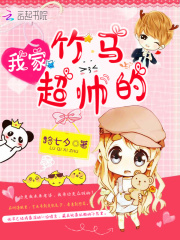 言未希白湛出现在什么小说里？