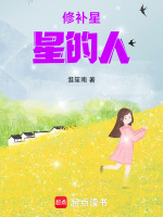 修补星星的人