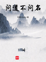 问道不问名