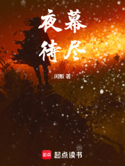 《夜幕待尽》封面