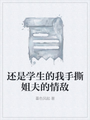 还是学生的我手撕姐夫的情敌章节目录+前传（安宇悠悠赖杰）整本免费版在线