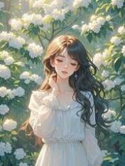沈若江宴出现在什么小说里？