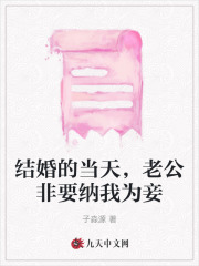 结婚的当天，老公非要纳我为妾全文章节
