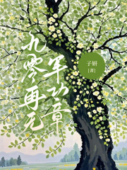 九零再无军功章新篇章：隐藏的真相探寻（沈琴顾知书）的情感纠葛和命运转折！