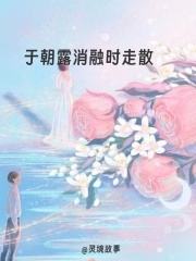 苏星湖左倾城的下一个选择于朝露消融时走散热门小说全文已更……