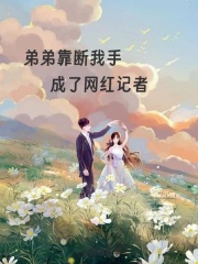 弟弟靠斷我手成了網紅記者（林子杰許琴琴）序章+小說全集閱讀新作預覽