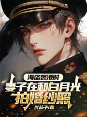 海盜襲港時，妻子在和白月光拍婚紗照（星海）延伸章節列表（書蟲必看）