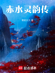 《赤水灵韵传》封面