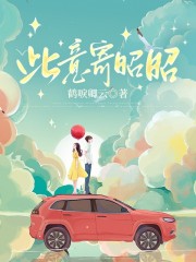 此意寄昭昭