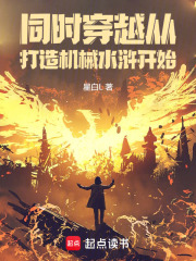 《机械林冲》封面