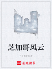 《平行宇宙芝加哥》封面