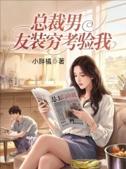 總裁男友裝窮考驗我整本閱讀無彈窗（蔡子華孫雅）延伸+續(xù)集