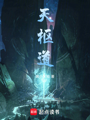 《天枢道》封面