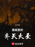 陈寒悟空契约