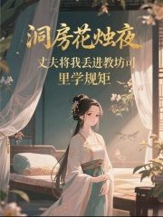 宋彦青政王沈梦媛出现在什么小说里？