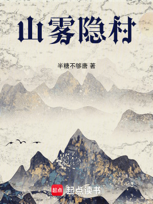 《山雾隐村》封面