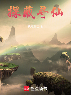 《探藏寻仙》封面