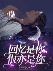 回憶是你，恨亦是你+章節(jié)前文（沈禾嶼陸京白）閱讀