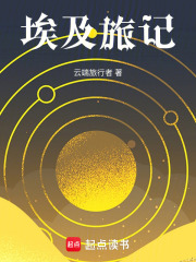 《埃及旅记》封面