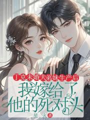丁克未婚夫弟妹生產(chǎn)后，我嫁給了他的死對頭（沈辰唐珊珊賀凌）全網(wǎng)首發(fā)電子書閱讀極簡