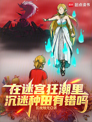 《迷宫即资源库》封面