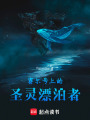 赛尔号上的圣灵漂泊者