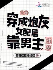 主角叫沈穗的小说名字是什么？