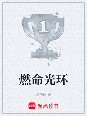 《燃命光环》封面