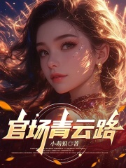官场青云路