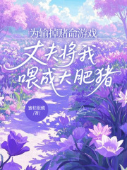有关沈砚舟林听晚的故事情节