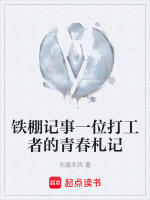 铁棚记事一位打工者的青春札记