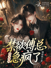 什么作品的主角叫阮芷音傅瑾琛林嫣然？