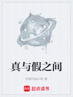 真与假之间