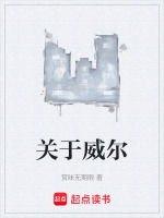 关于威尔