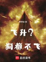 车祸现场名场面