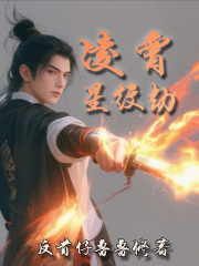 《星枢真解》封面
