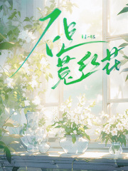 不是菟丝花