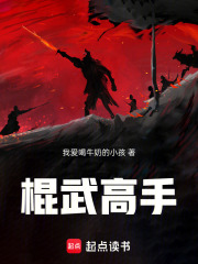 《镇北军棍阵》封面